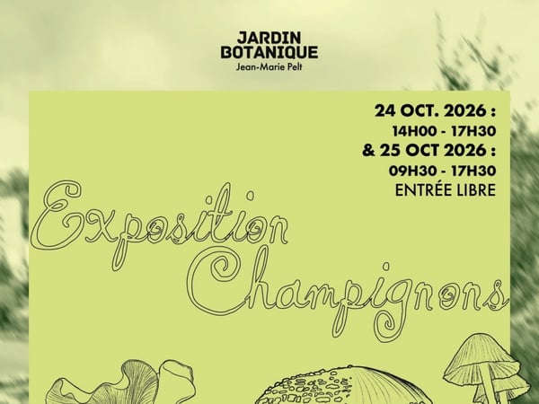 Exposition - Champignons